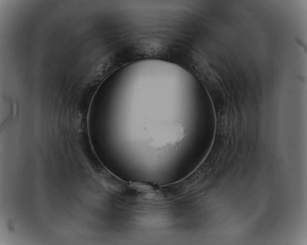 X0000093360750200710111454