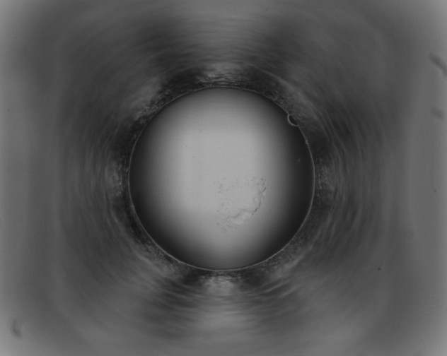 X0000093360751200710111454