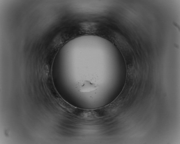 X0000093360752200710111454