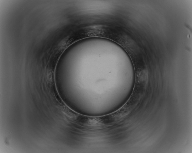 X0000093360753200710111454