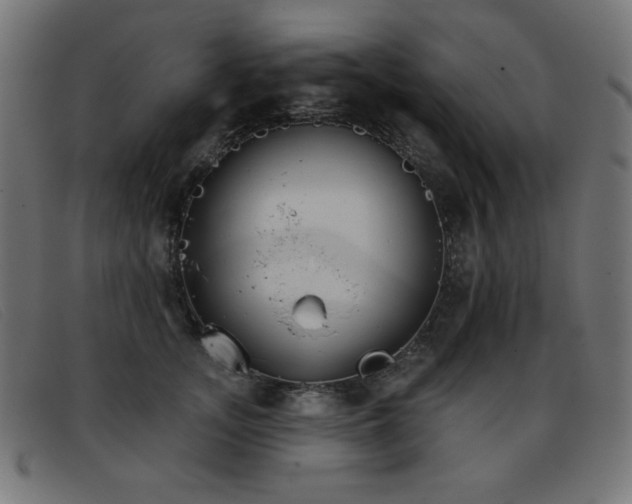 X0000093360755200710111454