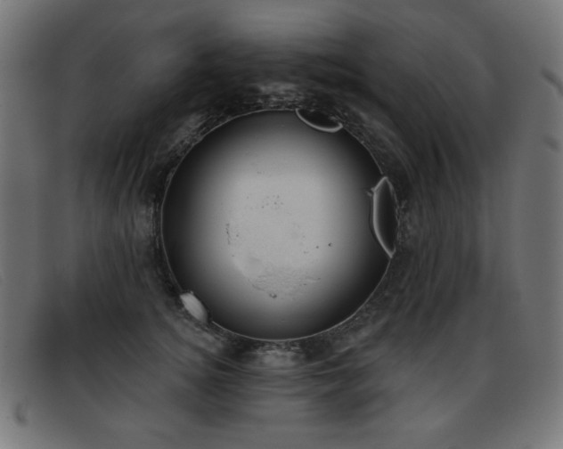 X0000093360756200710111454