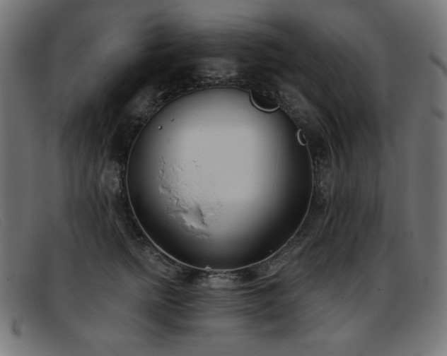 X0000093360758200710111454