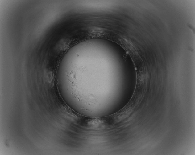 X0000093360759200710111454