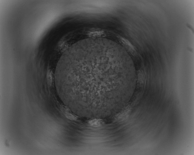 X0000093360761200710111454