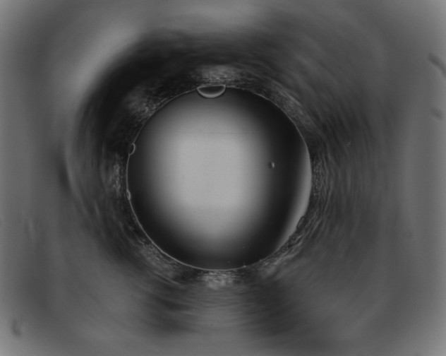 X0000093360762200710111454