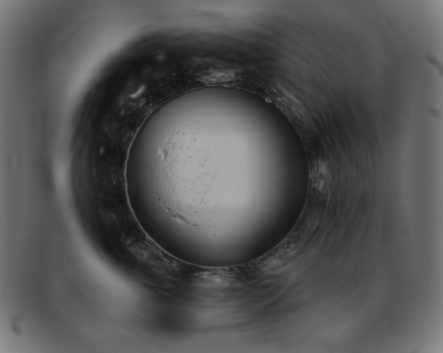 X0000093360763200710111454