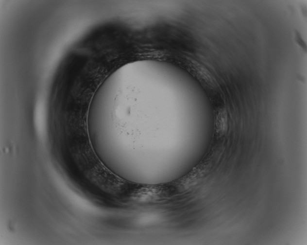 X0000093360764200710111454