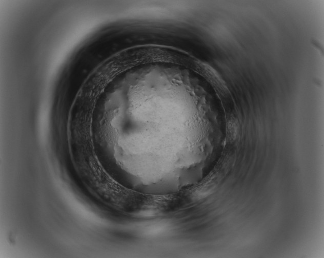 X0000093360765200710111454