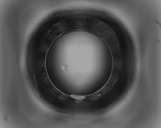 X0000093360766200710111454