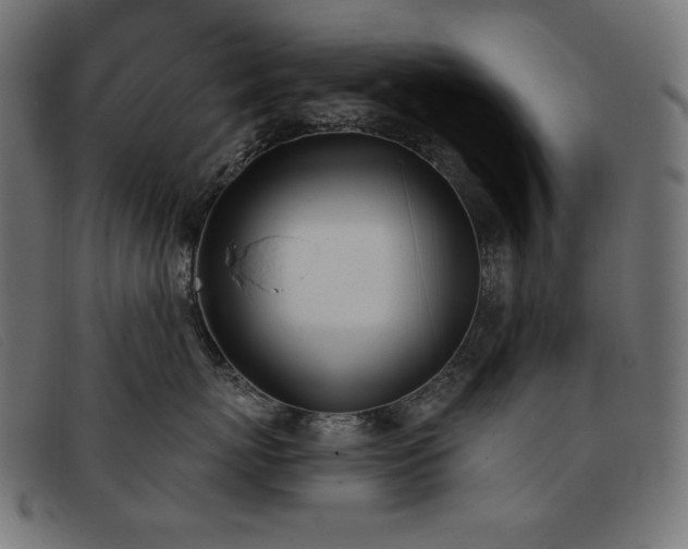 X0000093360767200710111454