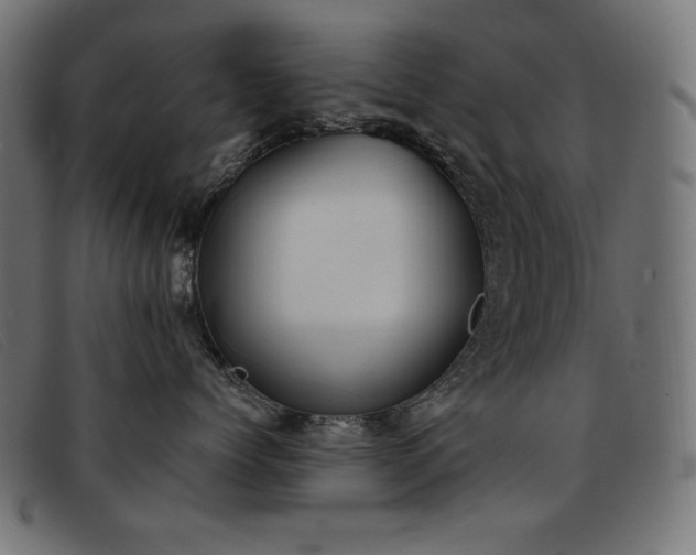 X0000093360768200710111454