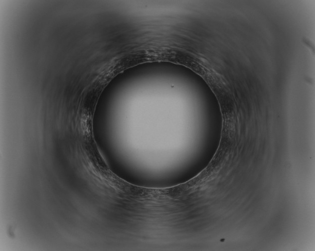 X0000093360770200710111454
