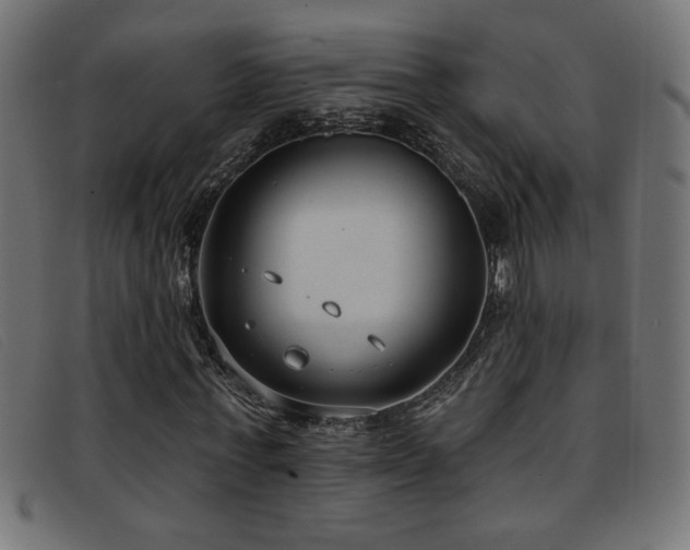 X0000093360771200710111454