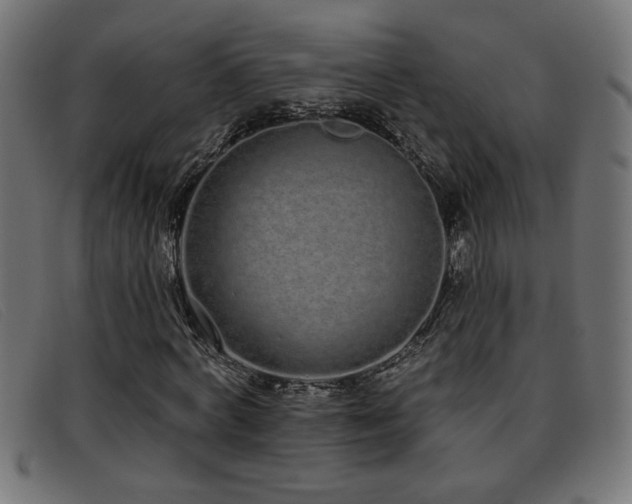 X0000093360772200710111454