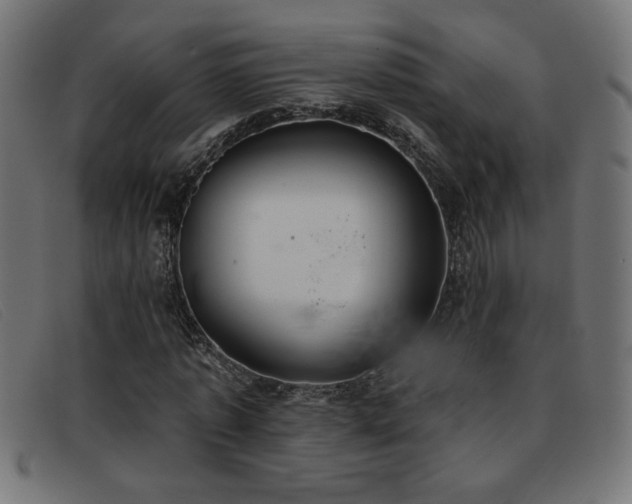X0000093360773200710111454
