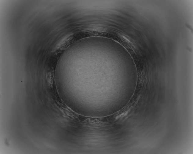 X0000093360774200710111454