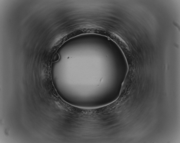 X0000093360775200710111454