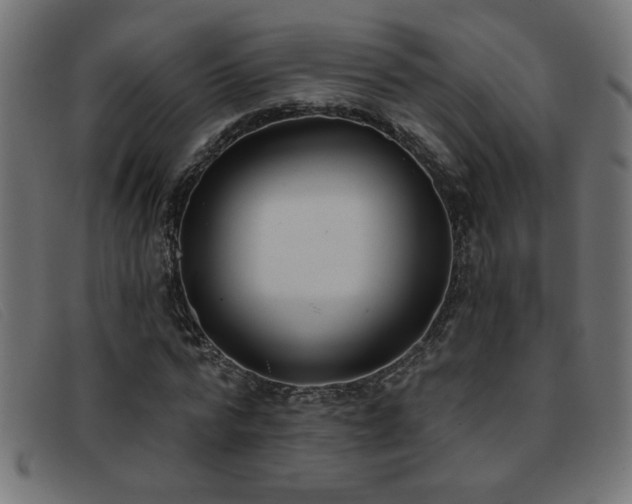 X0000093360776200710111454