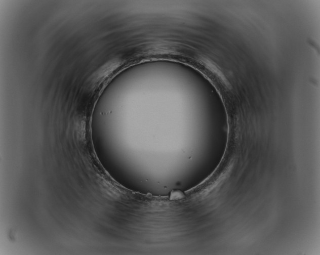 X0000093360777200710111454