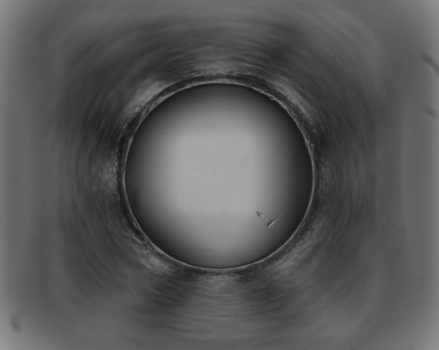 X0000093360778200710111454