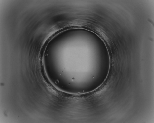 X0000093360779200710111454