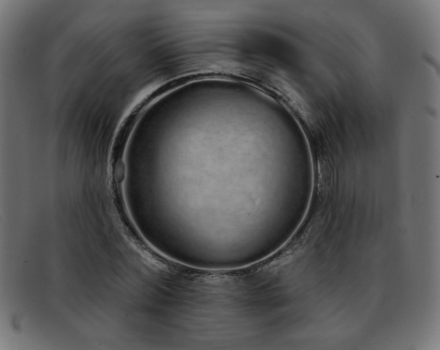 X0000093360780200710111454