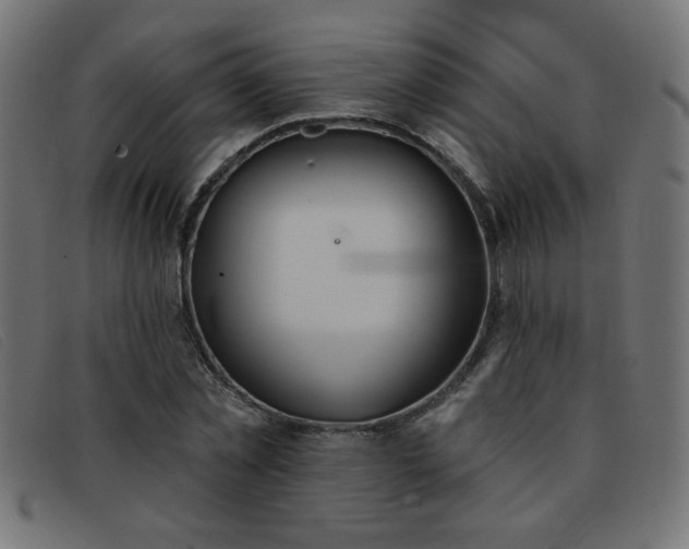 X0000093360781200710111454