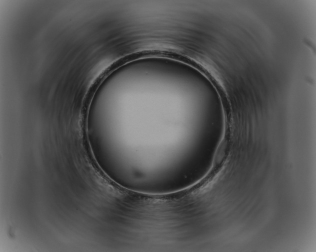 X0000093360783200710111454