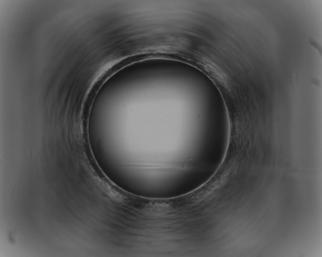 X0000093360784200710111454