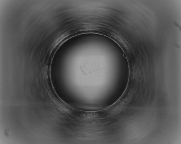 X0000093360786200710111454