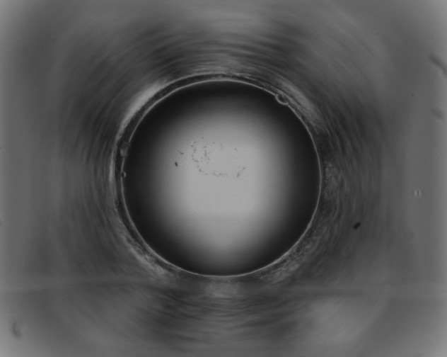 X0000093360788200710111454