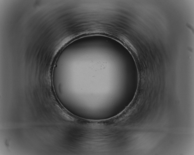 X0000093360789200710111454