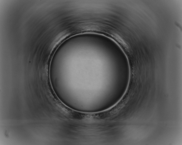 X0000093360790200710111454