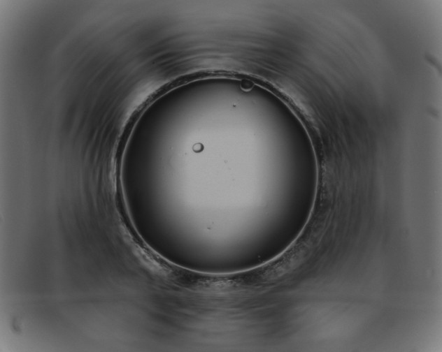 X0000093360791200710111454