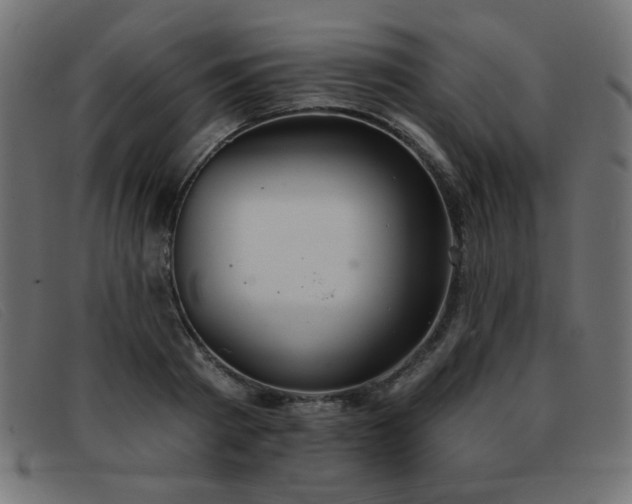 X0000093360793200710111454