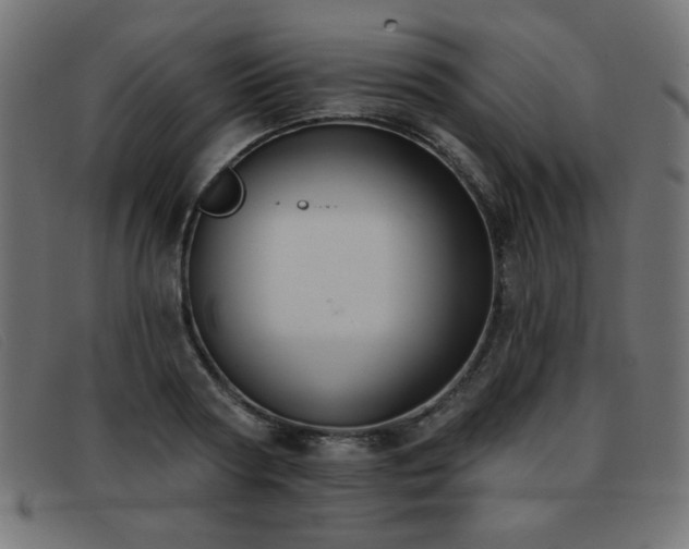 X0000093360794200710111454
