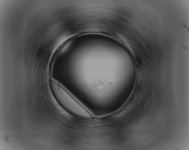 X0000093360795200710111454