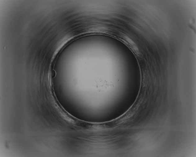 X0000093360796200710111454