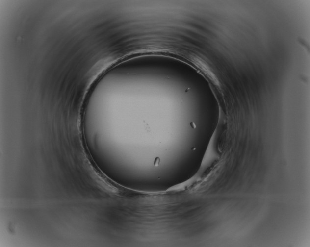 X0000093360797200710111454