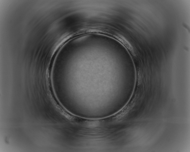 X0000093360798200710111454