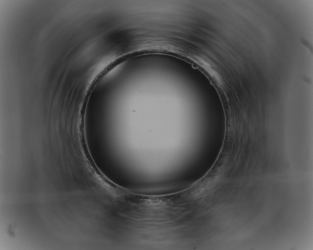 X0000093360799200710111453