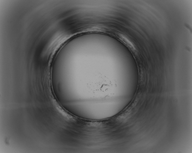 X0000093360800200710111453