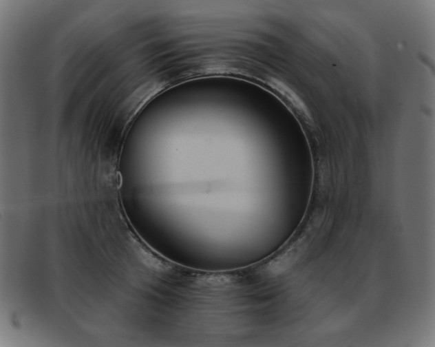 X0000093360801200710111453