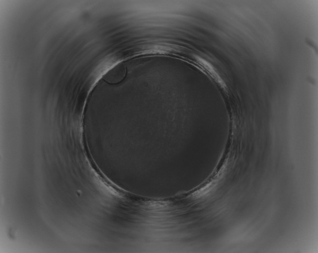 X0000093360802200710111453
