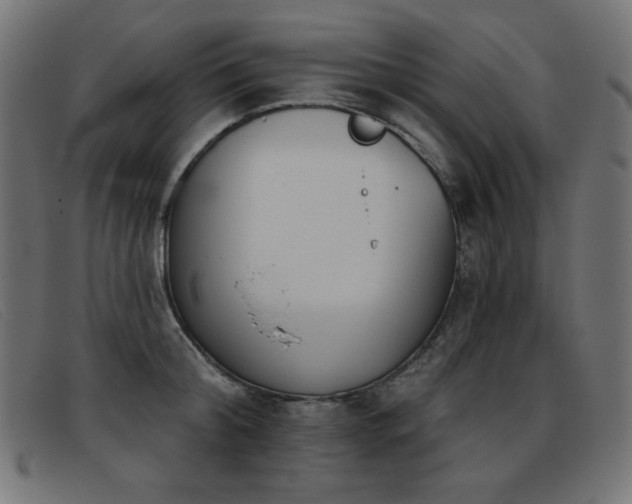 X0000093360804200710111453