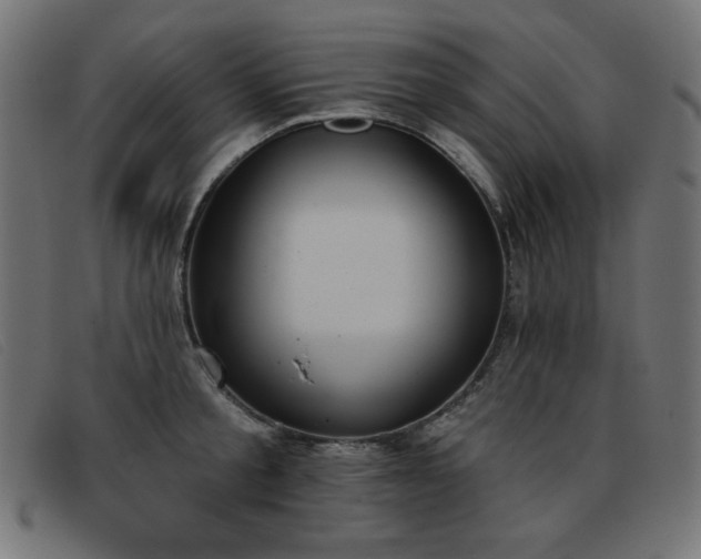 X0000093360805200710111453