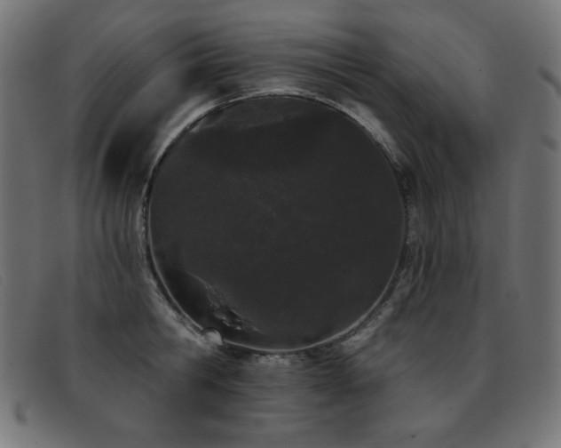 X0000093360806200710111453