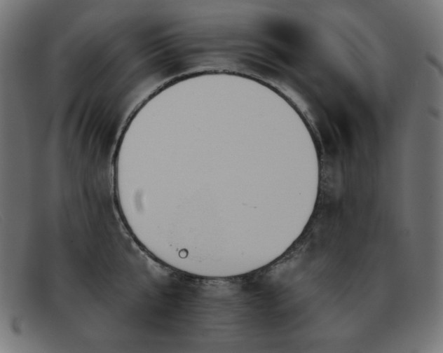 X0000093360807200710111453