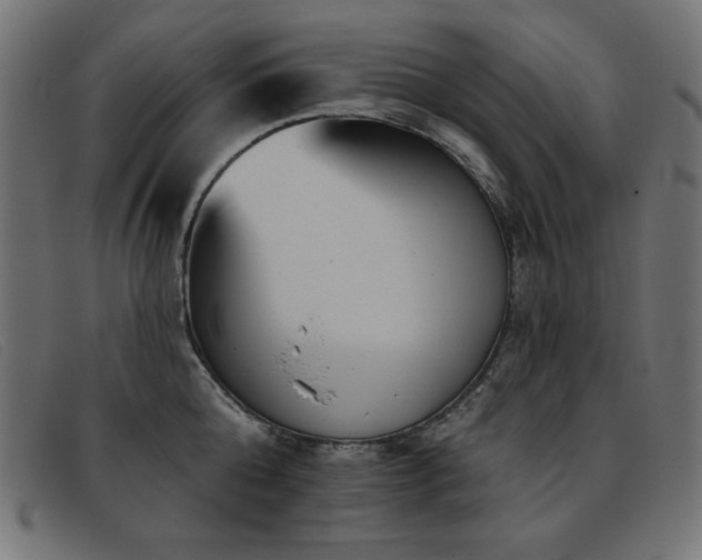 X0000093360808200710111453
